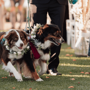 a-family-affair-weddings Weddings are a family affair at The Cliffs Hotel and Spa in Pismo Beach, California
