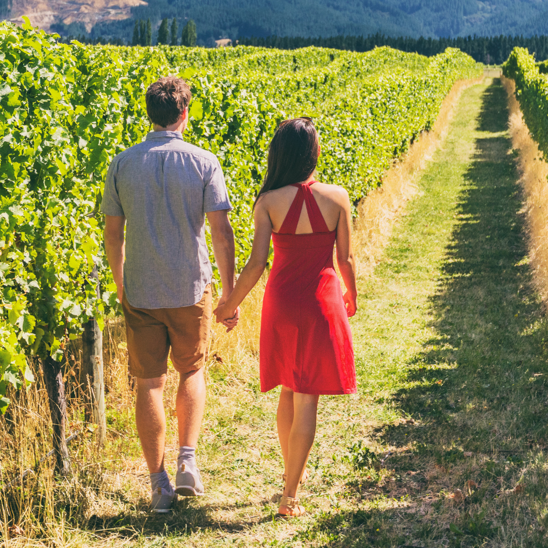 Wine Tour